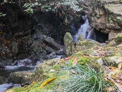 -藏龙百瀑风景区