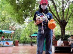 -郑州方特梦幻王国