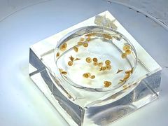 -巧克力渔家.小船海鲜家常菜(万平口店)