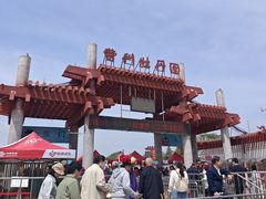 -曹州牡丹园