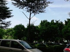 -山姆会员商店(杨桥西路店)