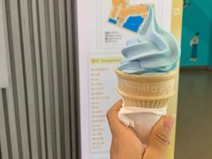 海盐椰子风味圆筒-麦当劳(宝山大厦店)