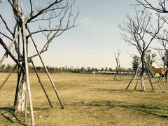 -春花秋色城市公园