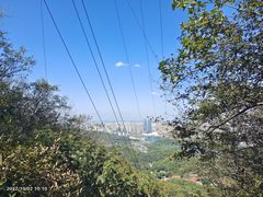 -岳麓山风景名胜区