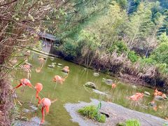 -千岛湖东南湖区