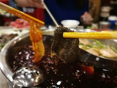 -朱氏胖子烂火锅(洪崖洞店)