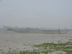 张开大网-海鸥岛