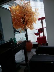 -M Hair造型