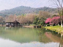 -铭莲·八卦田水上餐厅