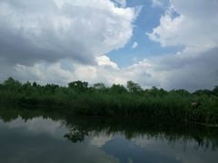 -溱湖国家湿地公园