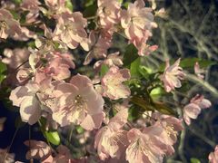 -天鹅湖体育公园