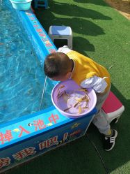 -萌宠亲子动物乐园(槐房万达店)