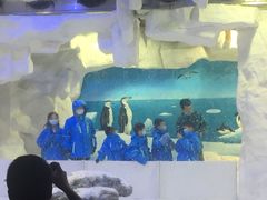 -华夏文旅海洋公园