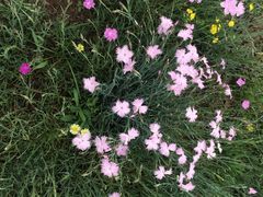 园博园-济南国际园博园