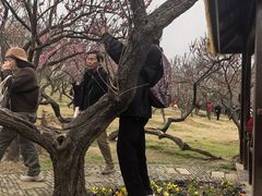 -无锡梅园公园