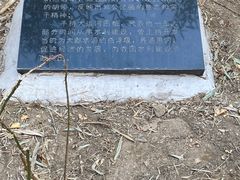 -南新仓文化休闲街