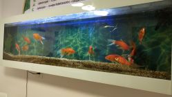 -姬颜氏美丽汇皮肤管理