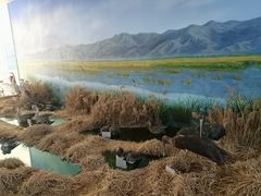 -延庆地质公园博物馆