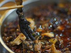 -黑竹香鸡(营和巷店)