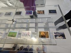 -罗红摄影艺术馆