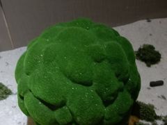 -华夏良子·足道SPA艾灸(中关村旗舰店)