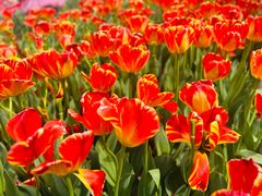 -玄武湖景区-情侣园游乐场