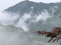 -雁荡山风景名胜区