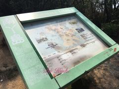 -南丫岛