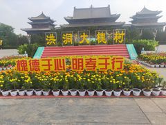 -大槐树寻根祭祖园