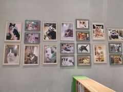 -藏猫猫咖啡主题馆(中央大道店)