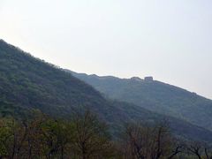 -天源渔港农庄