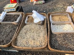 -彩亭桥集贸市场