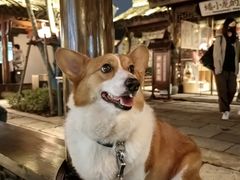 -星巴克臻选(上海合生汇1F店)