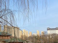 -迎泽公园