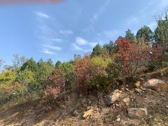 -北京西山国家森林公园