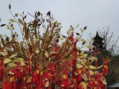 -牛首山文化旅游区