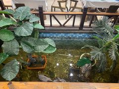 -大宝全猪馆(南京路店)