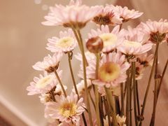 -双风车咖啡馆 Twin Windmills(六道口店)