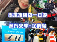 -企鹅岛