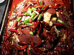 -探鱼·鲜青椒爽麻烤鱼(增城东汇城店)