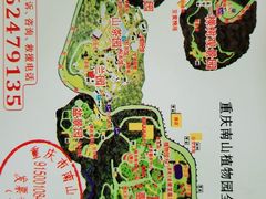 -南山植物园