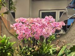 -鹿港小镇(黄金店)