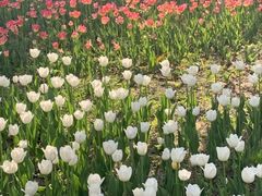 -长春公园(普阳街道)