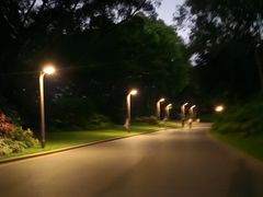 -荔枝公园-小平画像广场