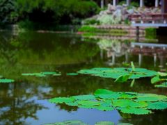 -国家植物园南园