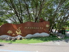 -泗洪洪泽湖湿地景区