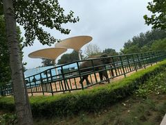 -秦皇岛野生动物园