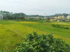 -熹乐谷温泉度假区