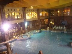 -咸宁万豪温泉谷度假区