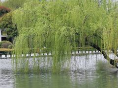 -白塘生态植物园